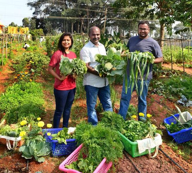 जैविक खेती की तरफ एक बढ़ते कदम का एक और उदाहरण - यहाँ पढ़े कैसे फायदेमंद है - 